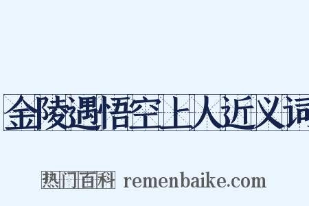 金陵遇悟空上人近义词是什么意思的图片